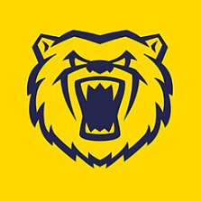 Birmingham Bears Women